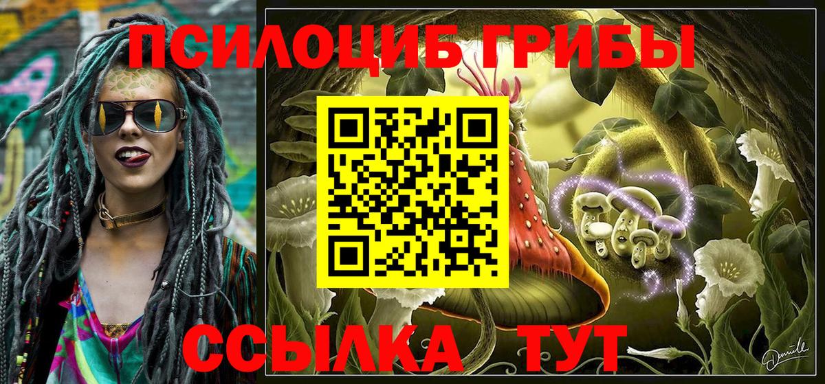 купить наркотик  Вход с VPN  Касимов  Псилоцибиновые грибы прущие грибы  Псилоцибиновые грибы прущие грибы 